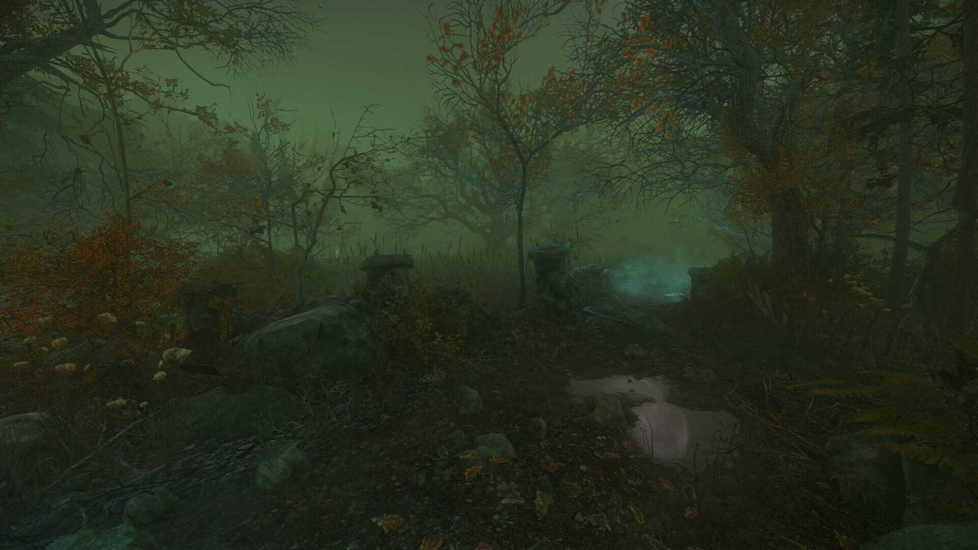 The Cursed Forest