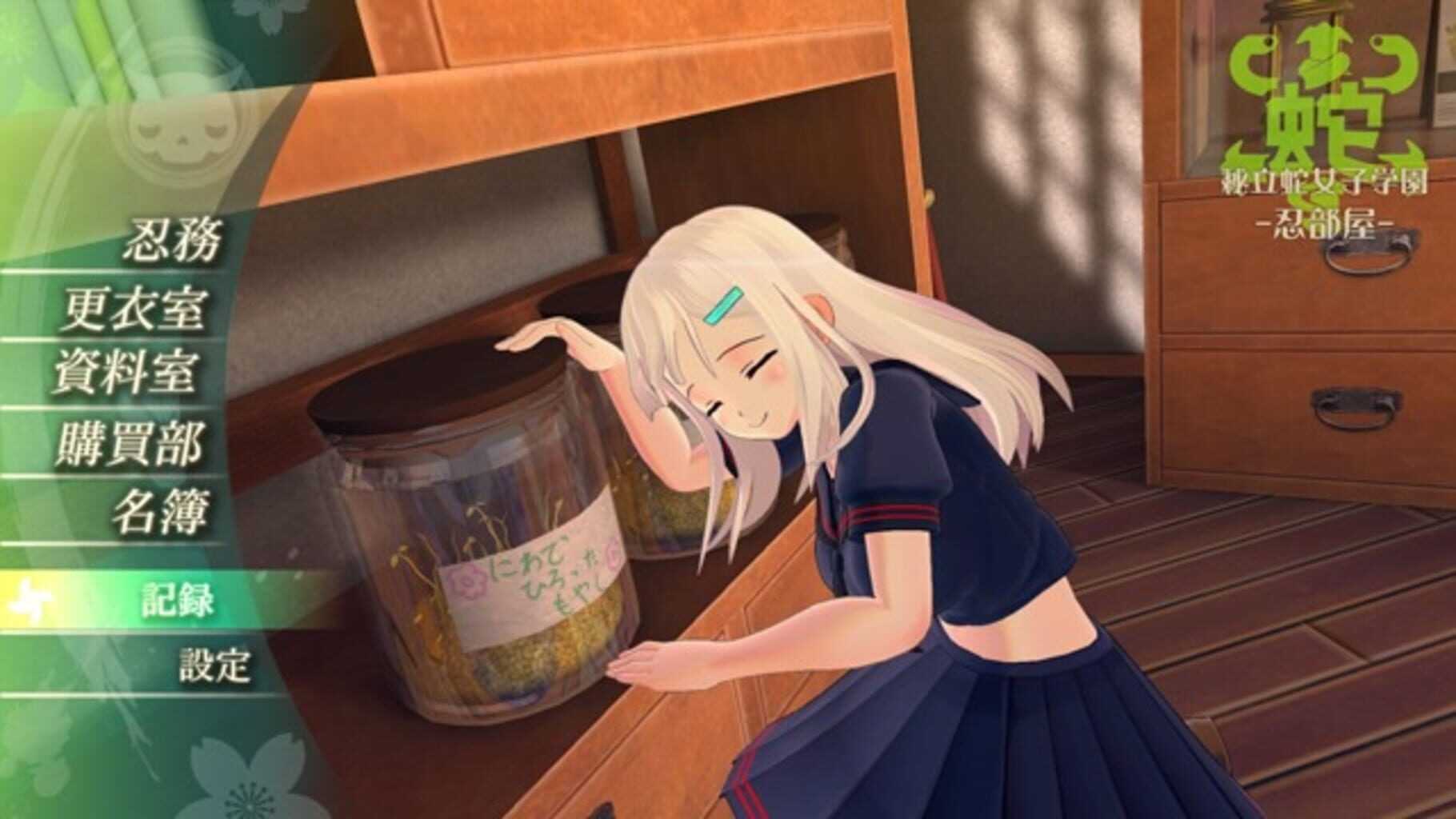 Senran Kagura Burst Re:Newal