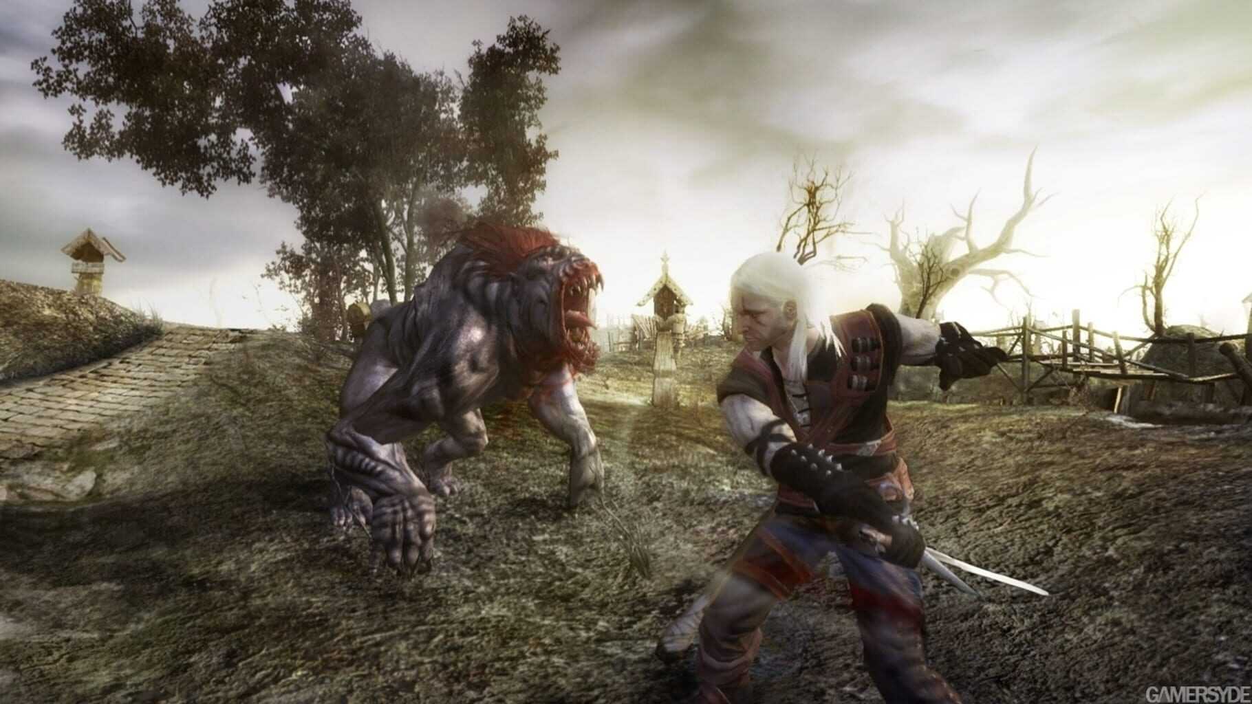 The Witcher