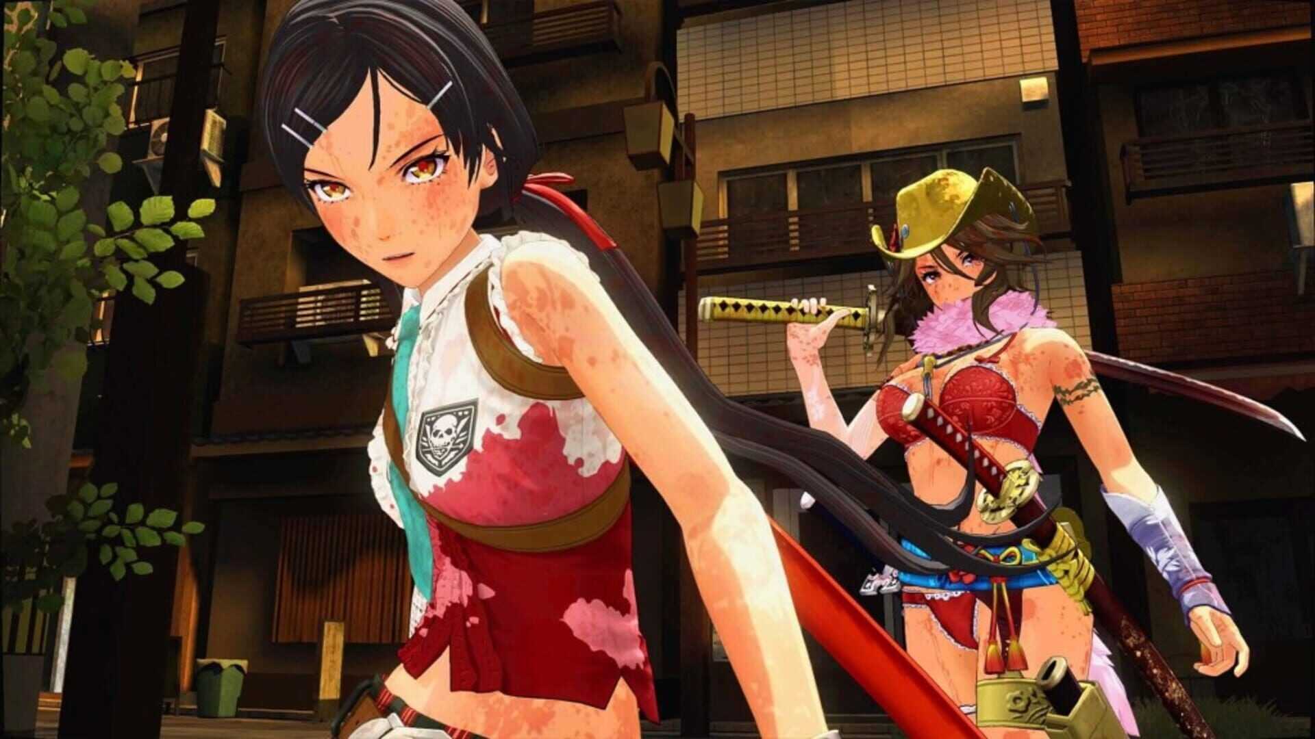 Onechanbara Origin