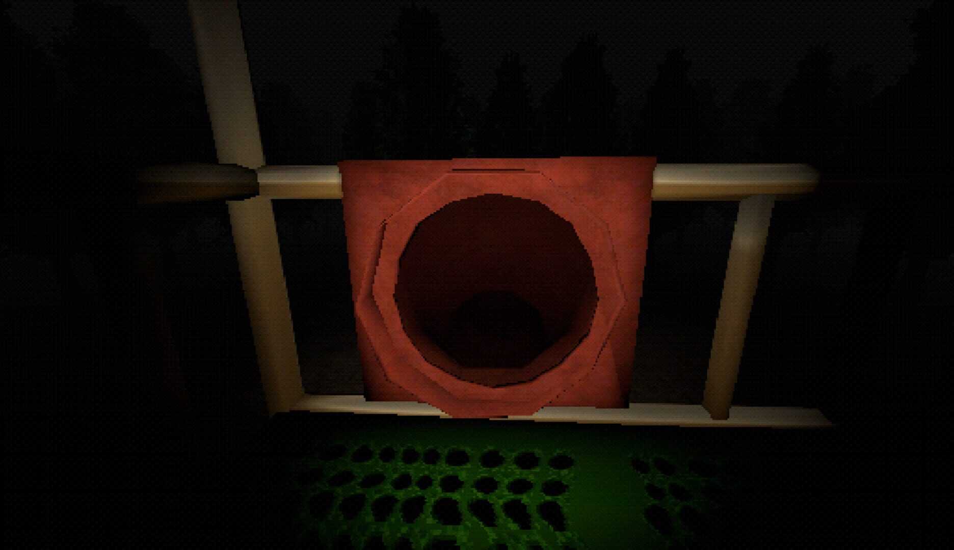 Slide in the Woods