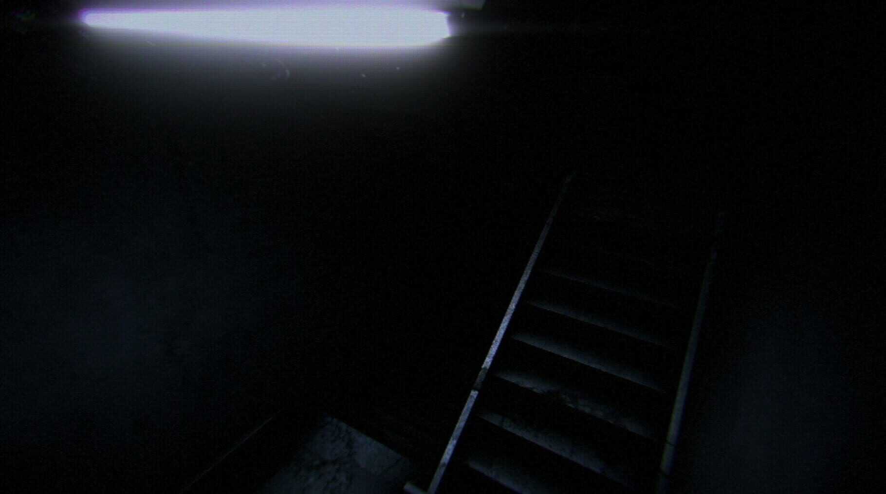 Night Security