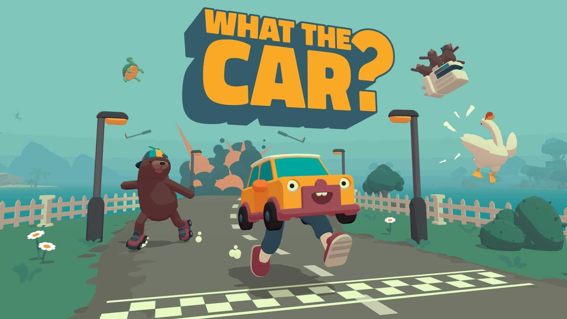 What the Car?