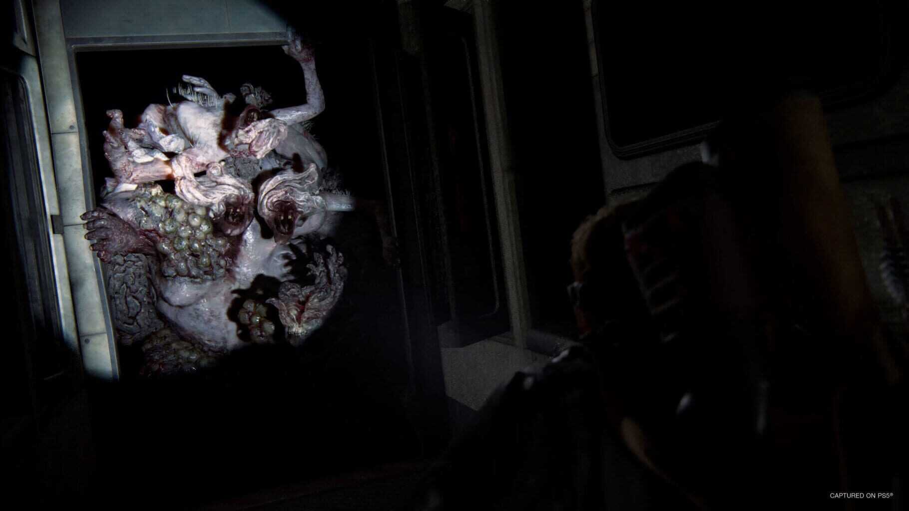 The Last of Us Part II: Remastered