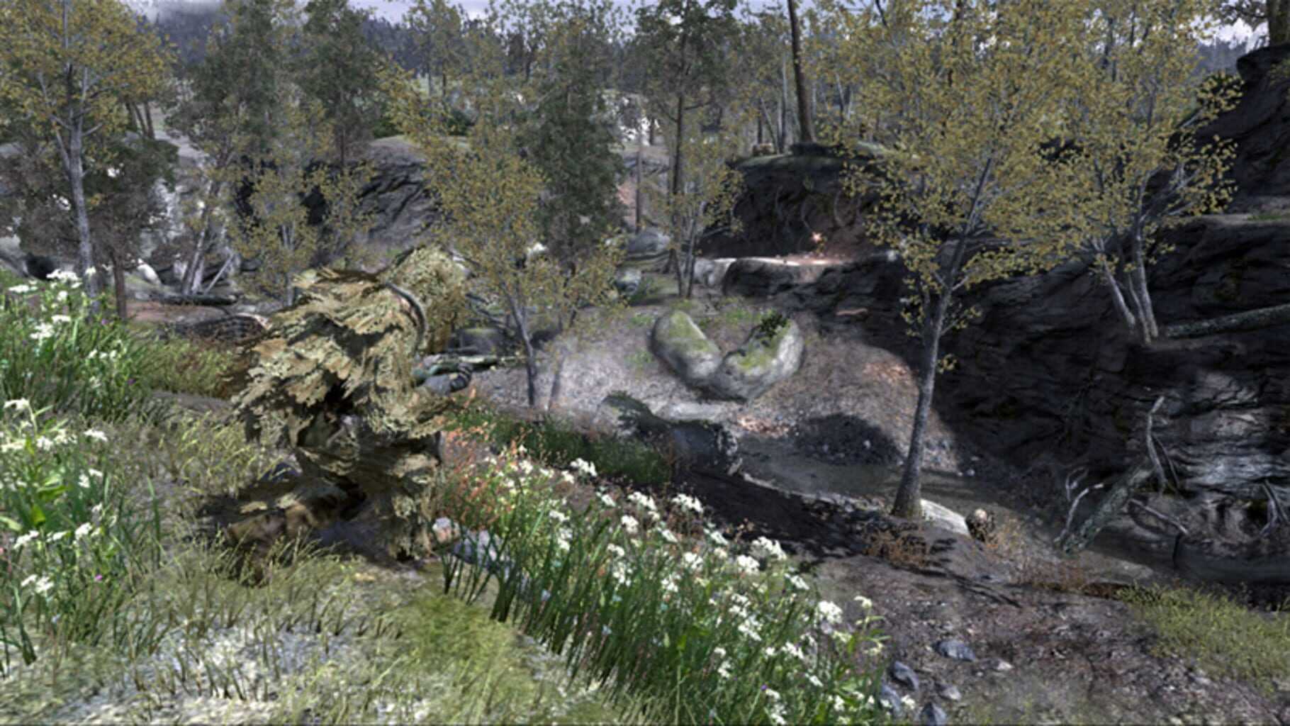 Call of Duty 4: Modern Warfare