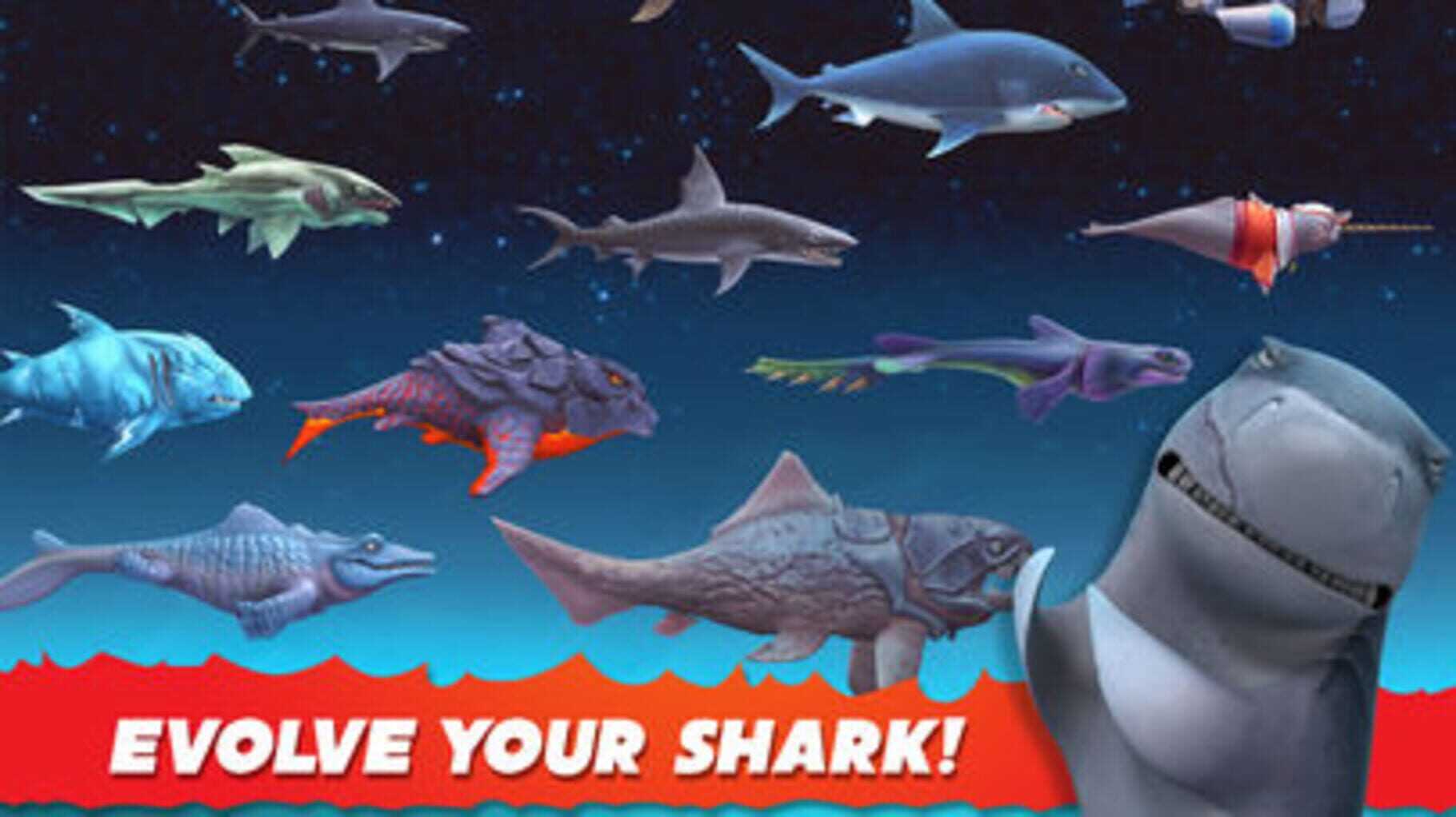 Hungry Shark Evolution